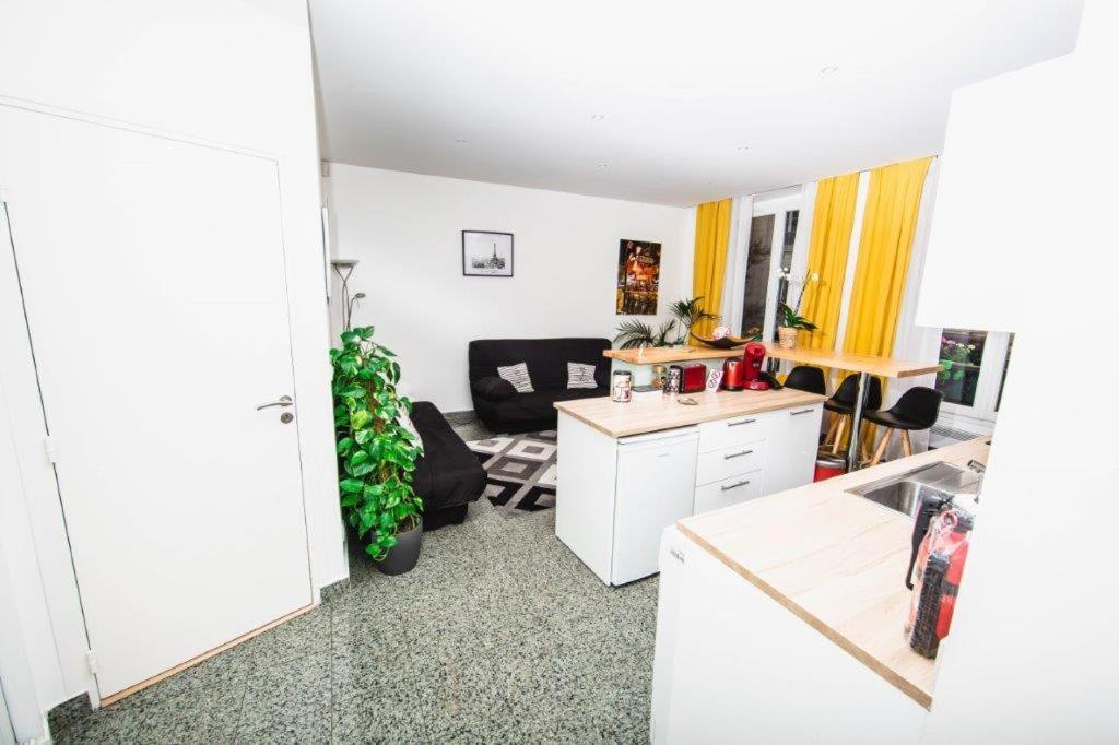 Paris City Flat App Entier N106 F3 Buitenkant foto